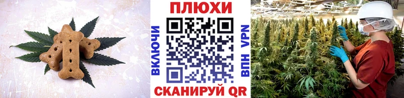 купить наркотик  Энем  Печенье с ТГК конопля 