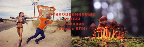 амф Абдулино