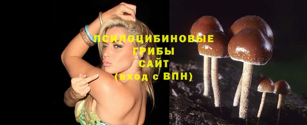 гидра Абинск
