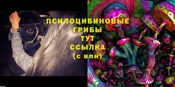 МДПВ Абаза