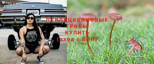 МДПВ Абаза