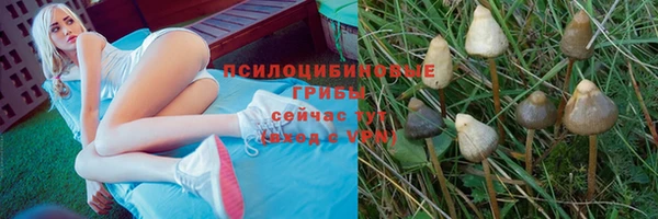 амф Абдулино