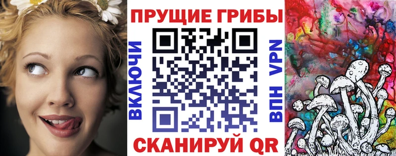 купить Энем OMG ссылка Псилоцибиновые грибы Psilocybe